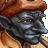 avatar de gotozscw